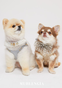 Harnais de mariage pour chien Muhlengia, en velours écologique, personnalisé avec rivets, harnais de luxe, accessoires pour chien - Product Image 2