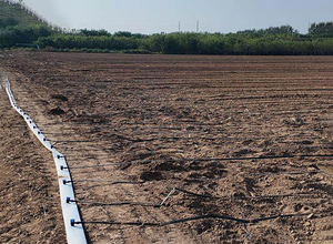 Ruban goutte à goutte en LLDPE robuste 8/10/12mil épaisseur 200-1000m rouleau pour les cultures en rangée - Product Image 5
