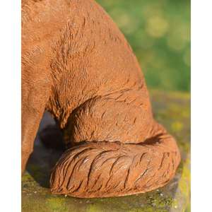 Escultura de zorro salvaje rústico de tamaño real para decoración de casas de campo, proveedor y fabricante - Product Image 3