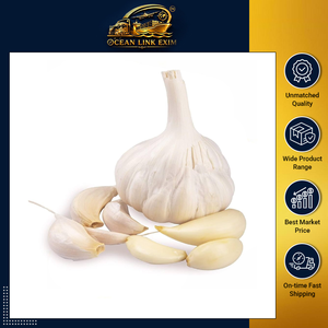 Bulk Supply <b>Fresh</b> Indian White Off White Garlic Bulbs with Strong Natural Aroma for Food Processing and Cooking - Product Image 2