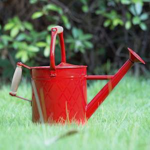 Arrosoir de style moderne avec poignée, pot d'arrosage ergonomique pour plantes d'intérieur, balcon, terrasse - Product Image 2