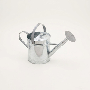 Hot Selling Vintage Metal Watering Can Durable Galvanized Iron <b>Garden</b> Water Pot For Indoor And Outdoor Plants Customized Design - Product Image 6