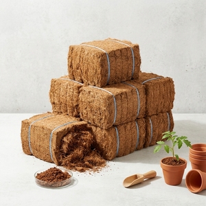 Bloque Comprimido de Fibra de Coco, Abono Natural para Macetas y Germinación de Semillas, Vida Útil de 24 Meses, Indonesia - Product Image 1