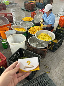 มะม่วงอบแห้ง มะม่วงธรรมชาติ ผลไม้อบแห้ง ขนมขบเคี้ยวสำหรับบรรจุภัณฑ์ขายปลีกและขายส่ง รสหวาน เคี้ยวหนึบ ผลิตจากเวียดนาม - Product Image 3