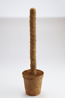 Pôles de culture en fibre de coco les plus vendus pour l'agriculture, l'horticulture, l'hydroponie, les serres, les fermes, les supports de plantes, fabrication au Sri Lanka