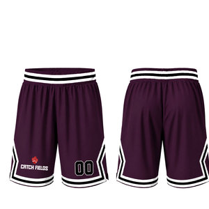 Pantalones Cortos de Baloncesto Unisex de Malla con Logotipo Personalizado al por Mayor, para Deporte y Running, de Secado Rápido, Transpirables, con Cintura Elástica, para Adultos, para Todas las Estaciones - Product Image 1
