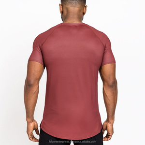 T-shirt de Fitness de gymnastique à séchage rapide de qualité supérieure T-shirt de Performance personnalisé pour les hommes - Product Image 2