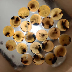 Boutons en corne naturelle de buffle spéciaux Boutons en corne de vache lavables en corne de boeuf avec décoration de paillettes pour vêtements Falak world Export - Product Image 1