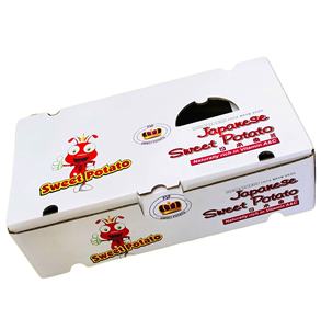 Cajas Autoarmables de Cartón Corrugado, Estilo Básico, Hechas con Materiales Reciclados, Personalizables, Precio Competitivo, para Transporte Aéreo y Marítimo - Product Image 6