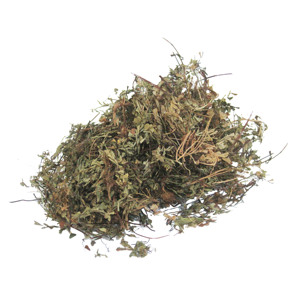 Plantas Herbales Secas, <span class=keywords><strong>Flor</strong></span> de Agrimonia Pura, Agrimonia Común Natural Entera, Hierba de Agrimonia, Hierbas Secas Chinas, Agrimonia Durvesh - Product Image 4