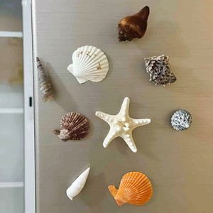 Juego de imanes para refrigerador hechos a mano con conchas marinas para decoración de cocina y nevera. - Product Image 1