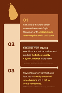 Bolsita de polvo de canela de Ceilán, ingrediente de té de hierbas de 30 cuentas, OEM Corea - Product Image 2