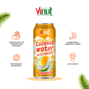 Agua de coco pura natural de 490ml con mango listo para enviar hecho en la fábrica de Vietnam (OEM, ODM) - Product Image 3