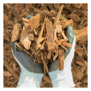 Chips de Madera de Alta Demanda para Compradores Globales en las Industrias de Energía de la Biomasa y Fabricación de Papel - Product Image 5