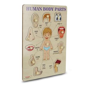 Portable Wooden Human Body Parts <b>Puzzle</b> for Kids Pack of 1 (Multicolor) - Product Image 2