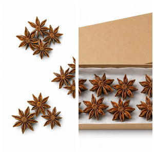 Vietnam Manufacturer Supply Low Price Delicious Best Quality Top Selling Star Anise Customized Packaging - Product Image 1