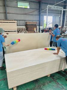 Panneaux de contreplaqué de peuplier du Vietnam en gros, épaisseurs 12-15-18-21 mm, réutilisables, lisses, imperméables, antidérapants, matériau de construction en bois - Product Image 5