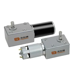 Faradyi Dc12v Schneckengetriebe-Motor 24V Niederdrehzahl-Welle getriebene 5 Zoll für Rolle Mikromotor Bürstenpermanenter Magnet Dc-Mikromotor 12v 10g