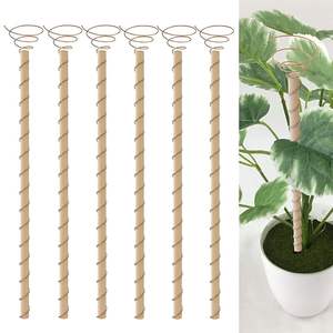 Bâtons d'électroculture en cuivre de qualité supérieure pour améliorer l'énergie du sol et favoriser une croissance saine des plantes à prix de gros - Product Image 1