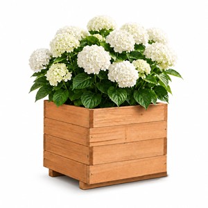 Jarrones y macetas de madera de acacia, OEM, personalizados, venta al por mayor |   Aqdus Saleem India - Product Image 2