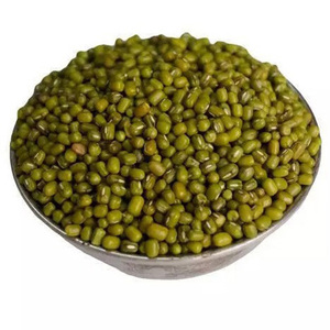 Top Grade Wholesale Green Mung <b>Beans</b> For Sale In Cheap Price Best choice and best discounts Green <b>Bean</b> Cleaned Premium Grade - Product Image 2