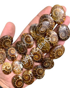 AMMONITE NATURELLE FOSSILE Pierre précieuse en vrac Cabochon poli Formes variées Tailles personnalisables Fabrication de bijoux en cristal Fournisseur tiers - Product Image 3