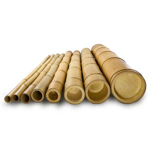 เสาไม้ไผ่คาร์บอนสำหรับตกแต่งต้นไม้ - Product Image 1