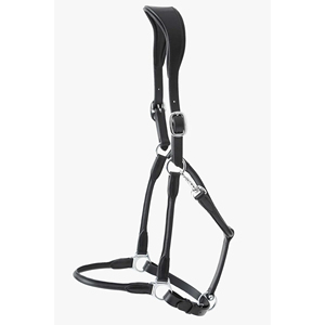 High Quality English Leather Rolled Anatomic Leather Head Collar Anatomic Halter Raised Stainless Steel Buckles Fancy Design - Product Image 1