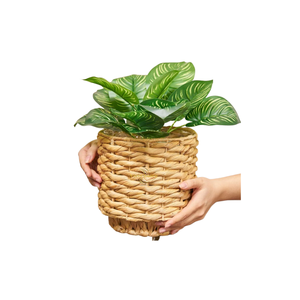 Pot de fleurs artisanal tendance en jacinthe d'eau, pot naturel durable pour une utilisation moderne à la maison et au jardin - Product Image 2