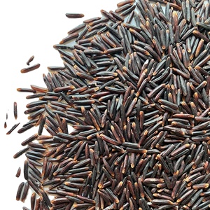 ARROZ NEGRO SALUDABLE DE ALTA CALIDAD, Grano Largo, Arroz Riz Negro Glutinoso Orgánico, Empaque ODM OEM, Vietnam LINDA +84393250278 - Product Image 5