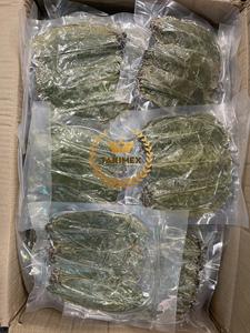 Hojas de Guanábana secas a granel de Vietnam | Proveedor mayorista de ingredientes de té de hierbas Graviola de primera calidad - Product Image 2