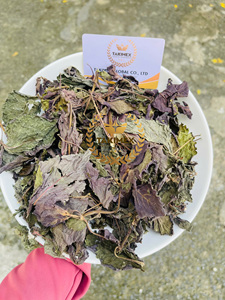 ชางาดำธรรมชาติเครื่องดื่มสมุนไพรเอเชียแบบดั้งเดิมมีคุณภาพดีมากใบงาแห้งจากเวียดนาม - Product Image 4