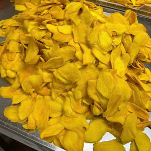 มะม่วงอบแห้ง มะม่วงธรรมชาติ ผลไม้อบแห้ง ขนมขบเคี้ยวสำหรับเดินทาง แพ็คขนมขบเคี้ยว เนื้อนุ่มหนึบ สไตล์ทรอปิคอล ขายส่ง ผลิตจากเวียดนาม - Product Image 1