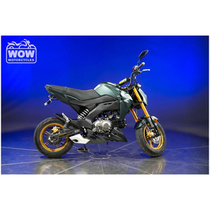 คาวาซากิ ซี125 โปร ปี 2025 - Product Image 1