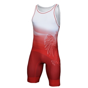 Combinaisons de lutte personnalisées pour hommes, impression par sublimation, respirantes, séchage rapide, légères, tenue de combat amusante, musculation - Product Image 1