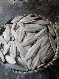 Hueso de Sepia Seco con Alto Contenido de Calcio para Suplemento Alimenticio para Aves - Product Image 4