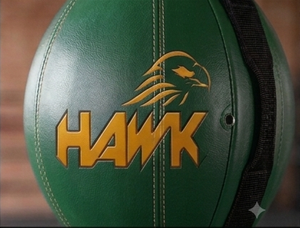 Sac de frappe double extrémité en PU vert Hawk, à installation facile, pour entraînement universel de boxe - Product Image 2