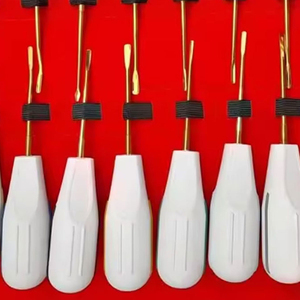 ชุดเครื่องมือทันตกรรมคุณภาพสูง Luxatore 7 ชิ้น แบบใช้มือและไฟฟ้า ทำจากเหล็ก พร้อมอุปกรณ์ยก - Product Image 2