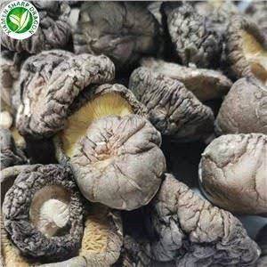 HOCHWERTIGE Premium Getrocknete Shiitake-Pilze Pflanzliches Protein Blauer Lotus Brauner Wildpilz 12 Monate Haltbarkeit Ho Chi Minh City Kochzubehör - Product Image 4