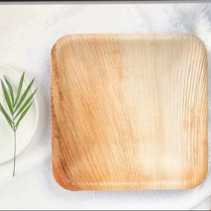 Premium Quality Elegant Natural Palm Leaf Square 6 Inches Plates Chemical-Free Eco-Friendly Biodegradable Disposable Tableware - Product Image 1