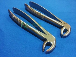Instruments dentaires, forceps d'extraction, forceps d'extraction dentaire de haute qualité, forceps chirurgicaux en acier inoxydable, forceps dentaires - Product Image 6