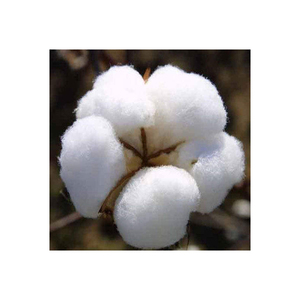 Top Selling Export Quality 100% Raw Organic White Cotton <b>Fiber</b> for Bulk Purchase - Product Image 4