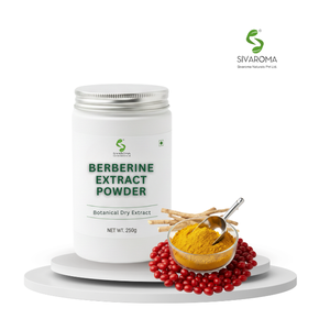 Extrait sec de berbérine de source naturelle pour la production alimentaire et les solutions de fabrication de produits en poudre - Product Image 3
