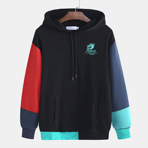 Sweat-shirt à capuche color block pour homme, coupe classique, en coton, avec poche, style streetwear décontracté, hiver, logo frontal, séchage rapide, 500 g/m² - Product Image 1