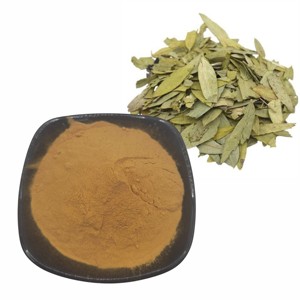 Extrait de feuille de séné pur à 100 % OEM 10:1, poudre de séné de qualité supérieure pour le soutien digestif, poudre de feuille de séné moulue finement de qualité alimentaire - Product Image 1