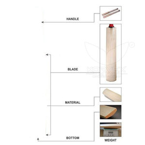 Bates de Críquet Profesionales Ecológicos, Construcción Sólida de Madera de Sauce, Mango Ergonómico Personalizable, Peso Equilibrado, Superficie Duradera - Product Image 6