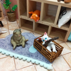 Miniatura 1:12 Muebles Juguetes para mascotas Sala de juegos - Product Image 3