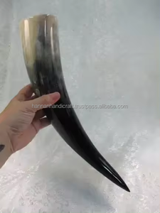 Corne à boire de bière Viking à la mode polie naturelle avec cornes à boire sur support d'Inde - Product Image 3