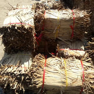 Tiras de Jacinto de Agua Secas de 70 cm, Material Sostenible para Tejido Artesanal y Decoración de Interiores, 14 ANGLE - Product Image 2