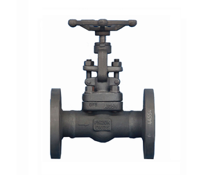 Válvula de Globo de Acero al Carbono Forjado A105, 1 Pulgada, Extremo Roscado, Clase 150, para Agua a Alta Temperatura, Control de Flujo Manual, OEM Industrial - Product Image 1